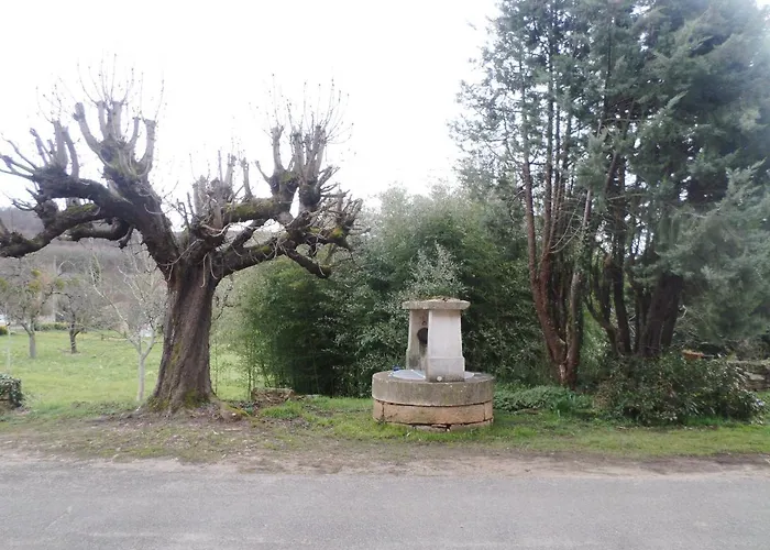 Les Marronniers