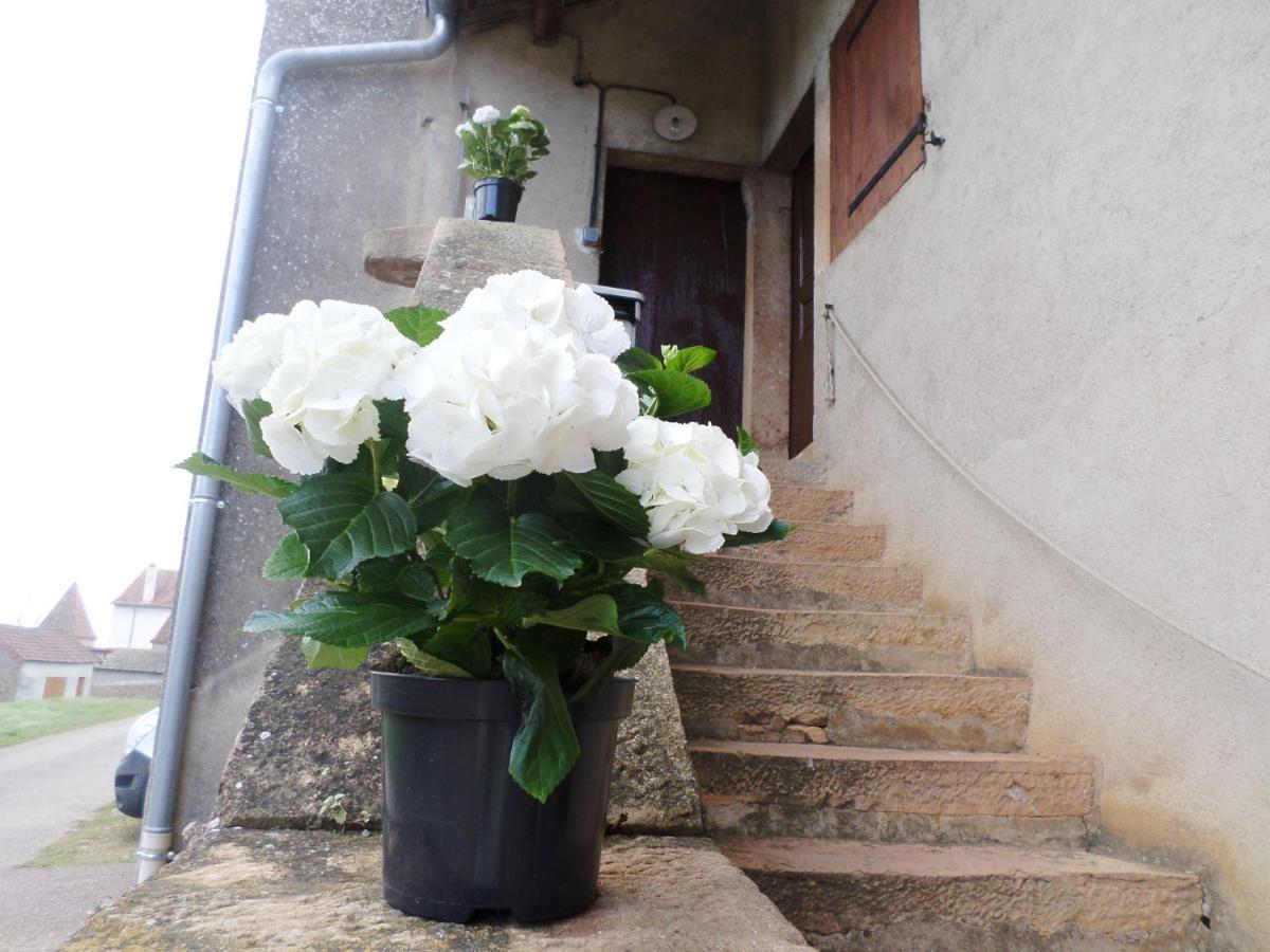 Couette-café Les Marronniers *